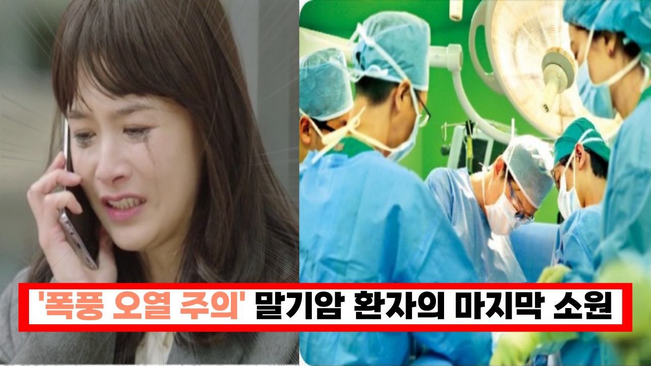  '폭풍 오열 주의' 매순간 행복하게 잘 살아야겠습니다. 말기암 환자의 마지막 작은 소망