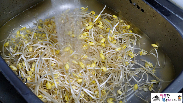 콩나물밥 만들기 재료 씻어주기