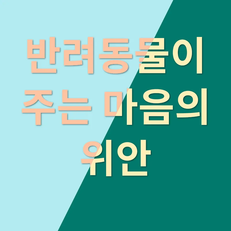 반려동물 키우기_1