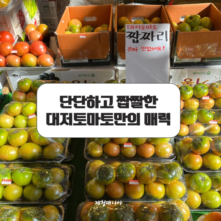 제철과일