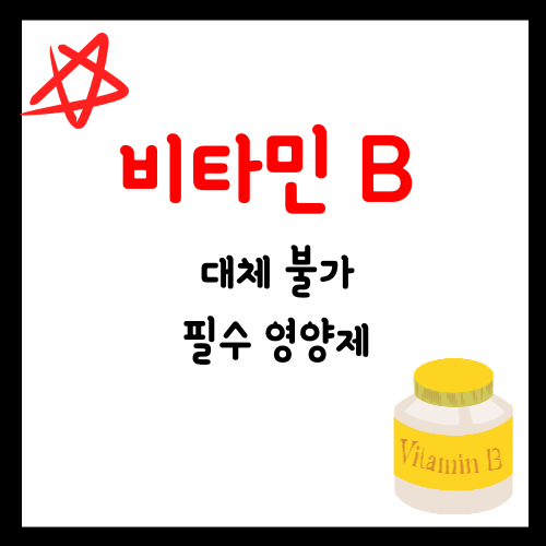  대체 불가 필수 영양제 비타민B