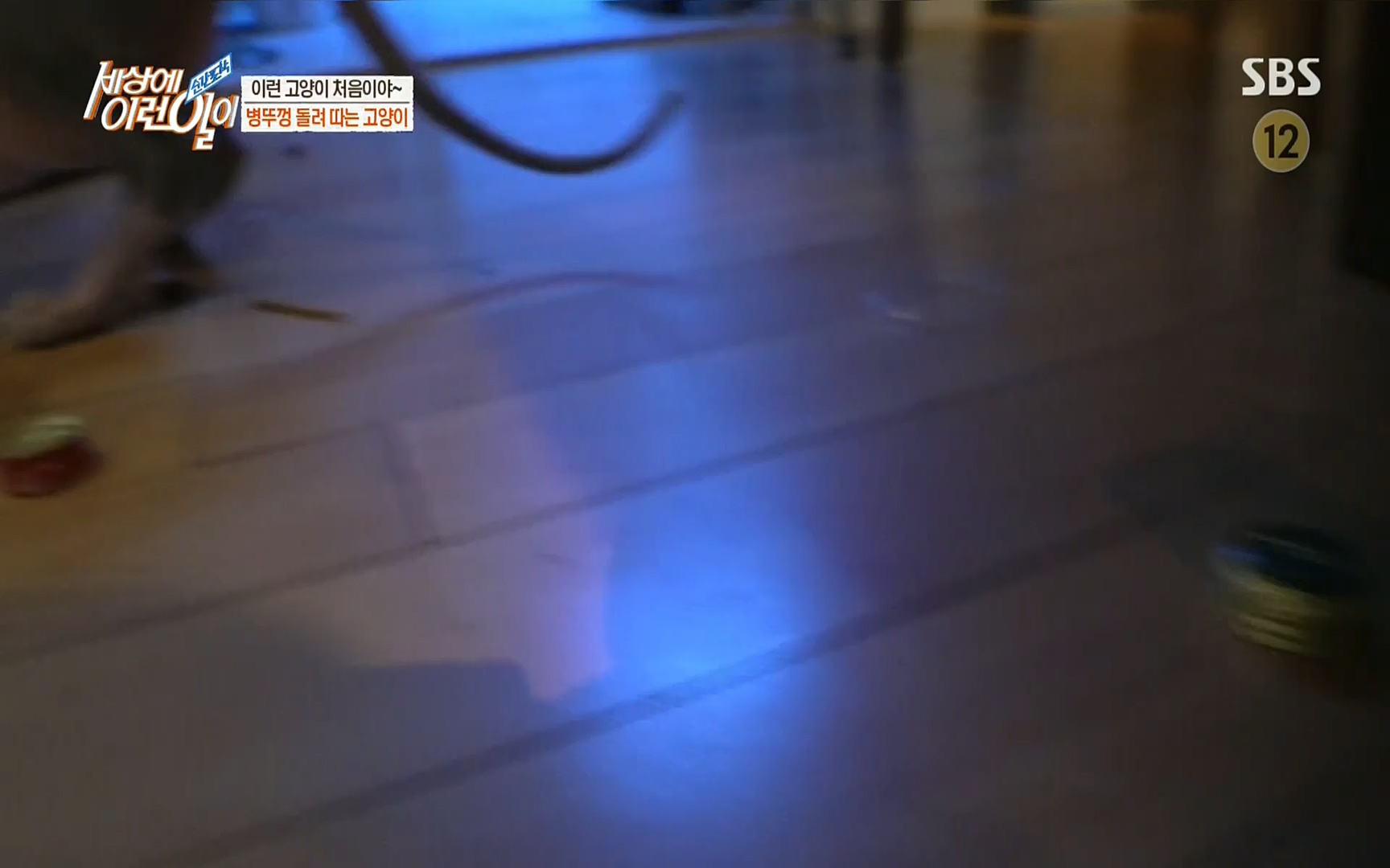 순간포착 세상에 이런일이.E1197p.H264-F1RST.mp4_20220914_202414.421.jpg