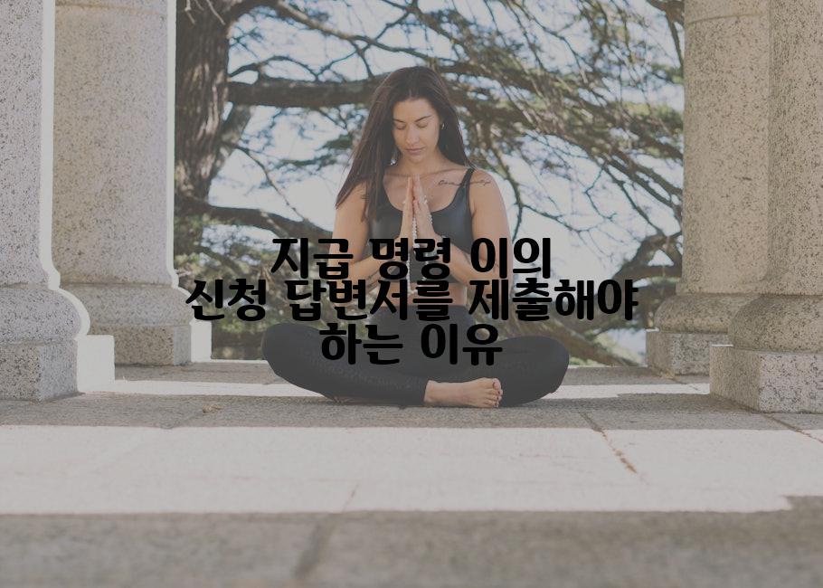 지급 명령 이의 신청 답변서를 제출해야 하는 이유
