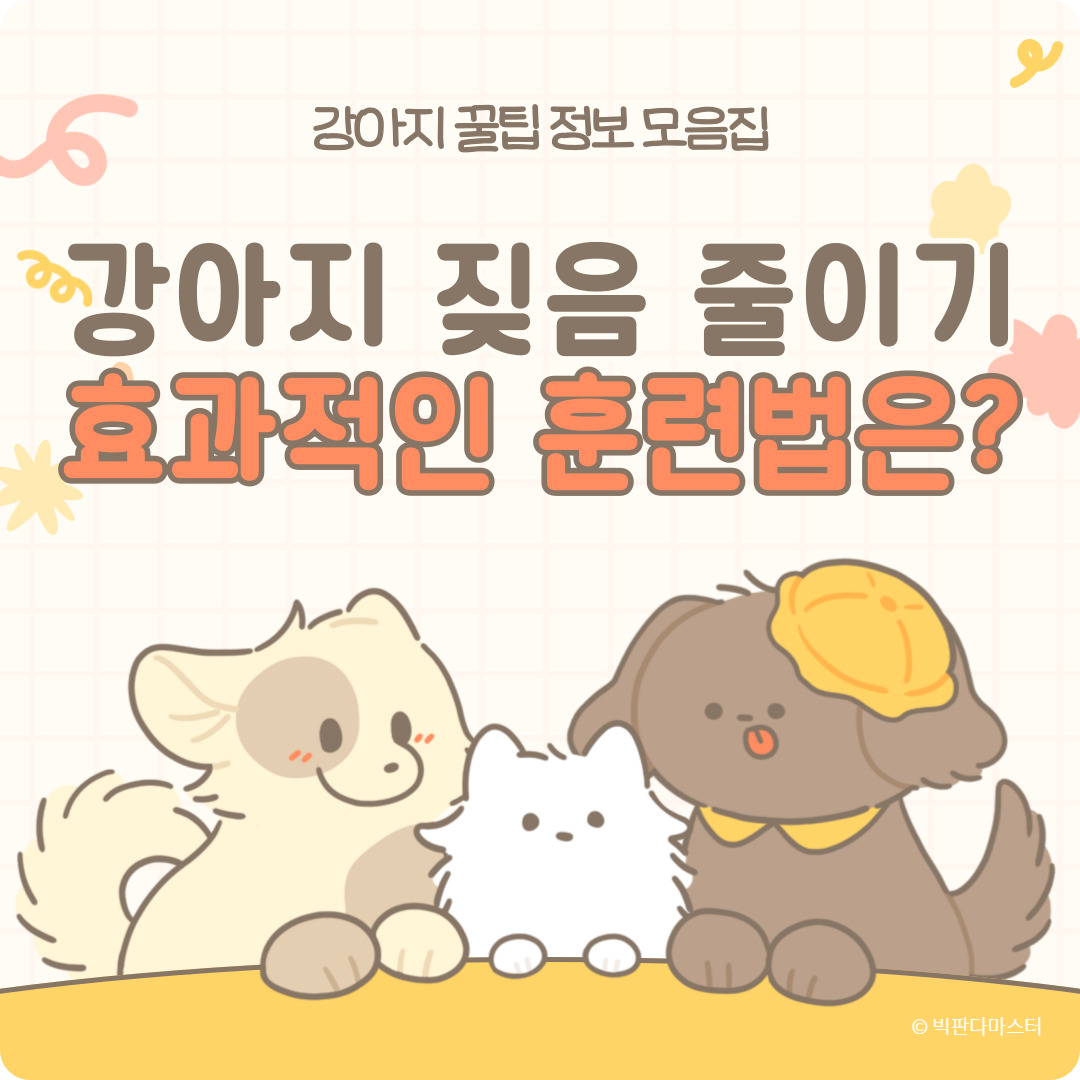 강아지 짖음 줄이는 실천 팁, 효과적인 훈련법과 환경 조성