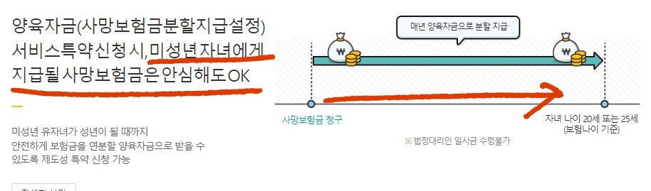 교보생명 다이렉트정기보험 설명