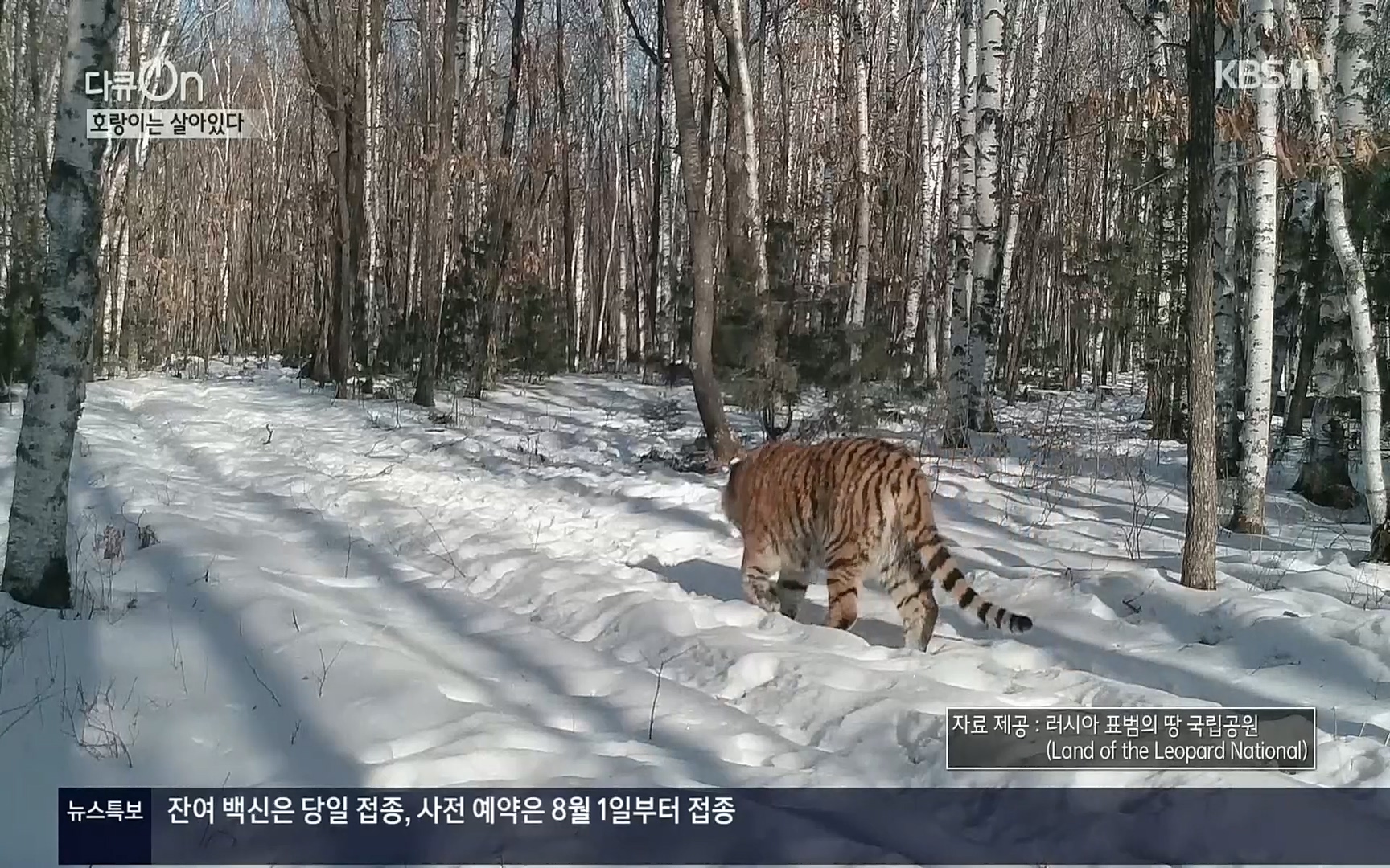 다큐 On.E150.220729p.H264-F1RST.mp4_20220730_164055.444.jpg
