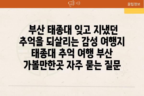  부산 태종대 잊고 지냈던 추억을 되살리는 감성 여행지  태종대 추억 여행 부산 가볼만한곳 자주 묻는 질문