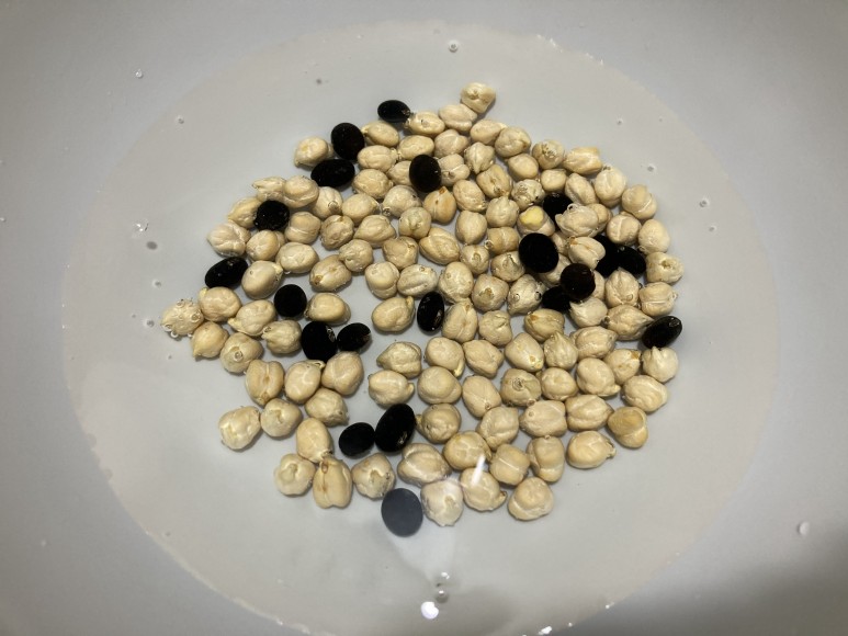 샐러드 및 삶는법 다이어트요리 :: 병아리콩 7