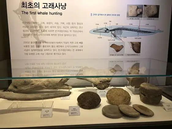 울산암각화박물관