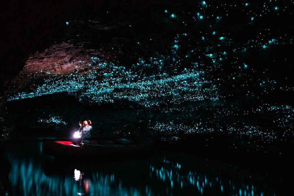 신비한 이색 여행 추천! The Glowworm Caves, New Zealand