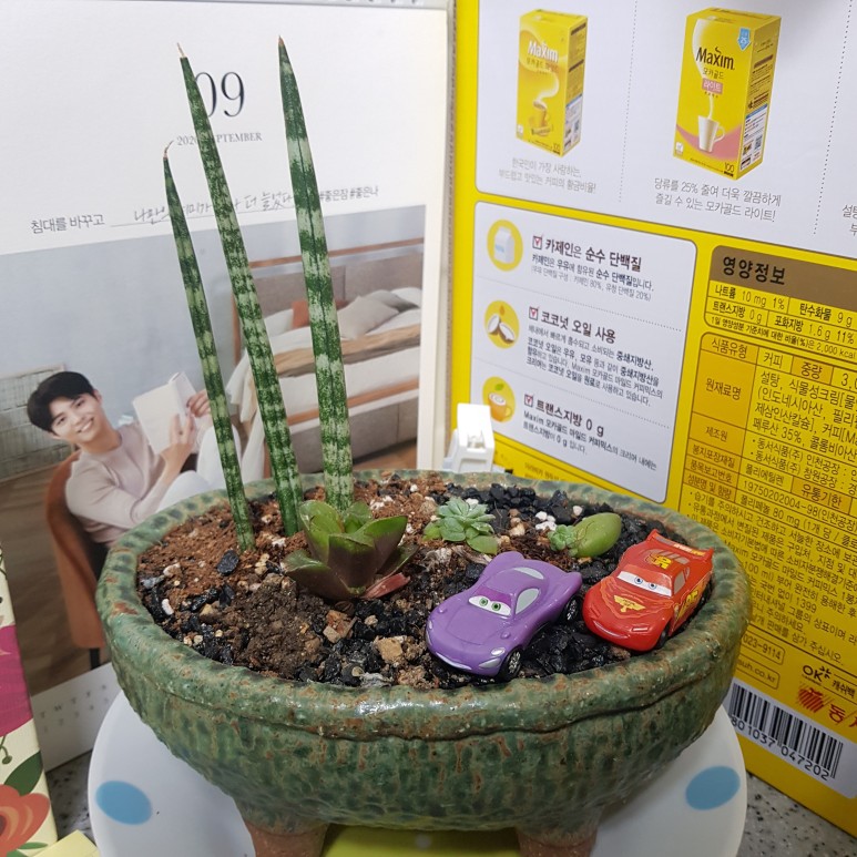 초록생활 이미지