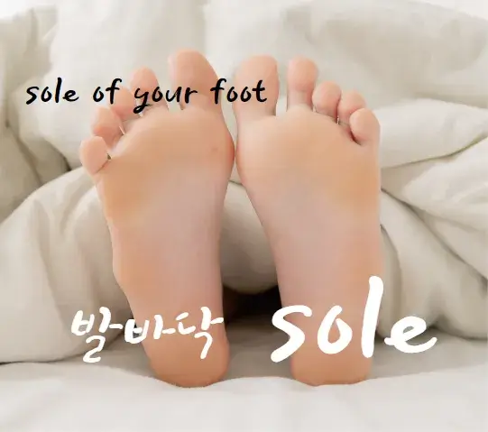 발바닥-영어-로-sole-foot