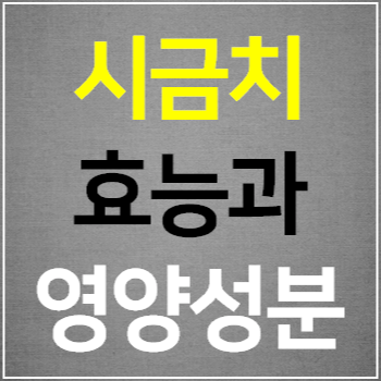  시금치의 효능과 영양성분 알아보기