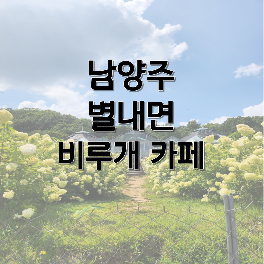  [남양주 별내] 식물원 카페 비루개 수국만발(날씨 폼 미쳤다)