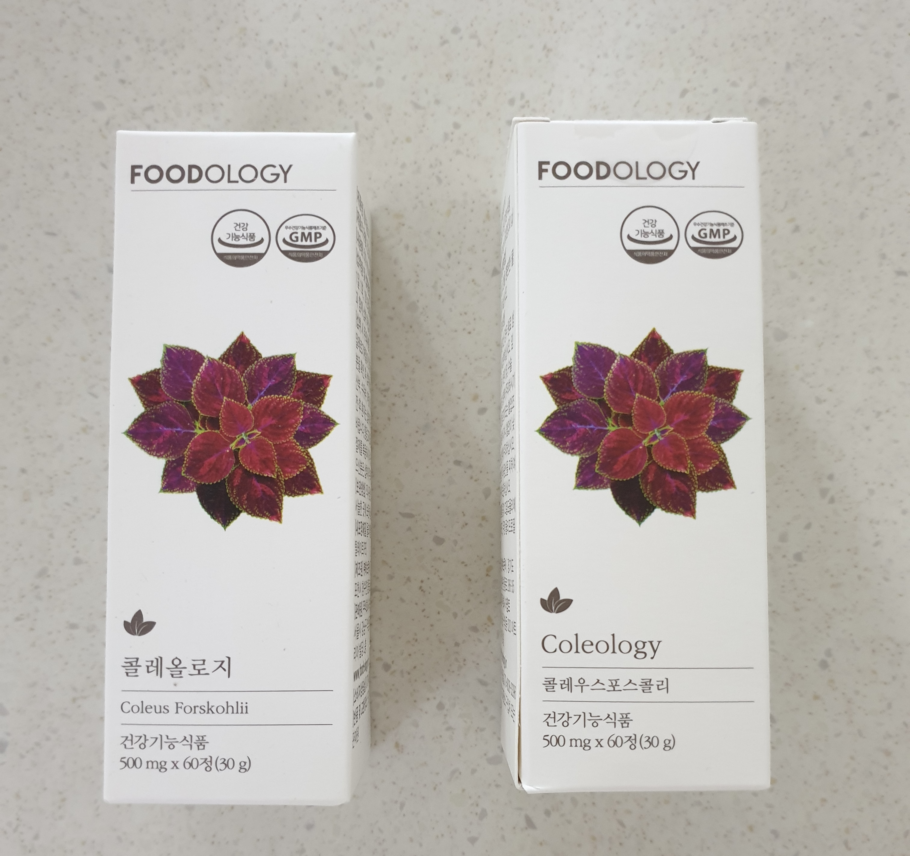  콜레올로지 효과 있을까? 성분부터 부작용, 후기 파해치기