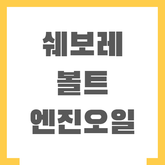 쉐보레 볼트 엔진오일 가격