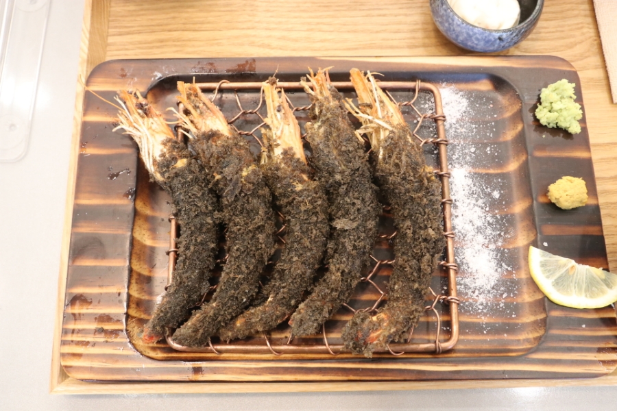 돔 종류이름 극찬했던 일산 18