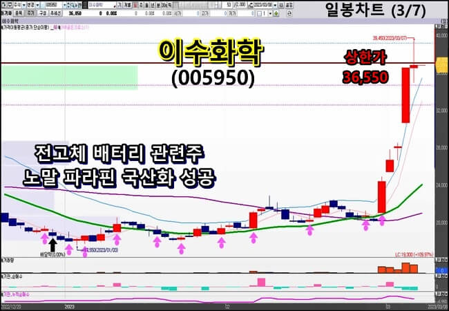 일봉-차트