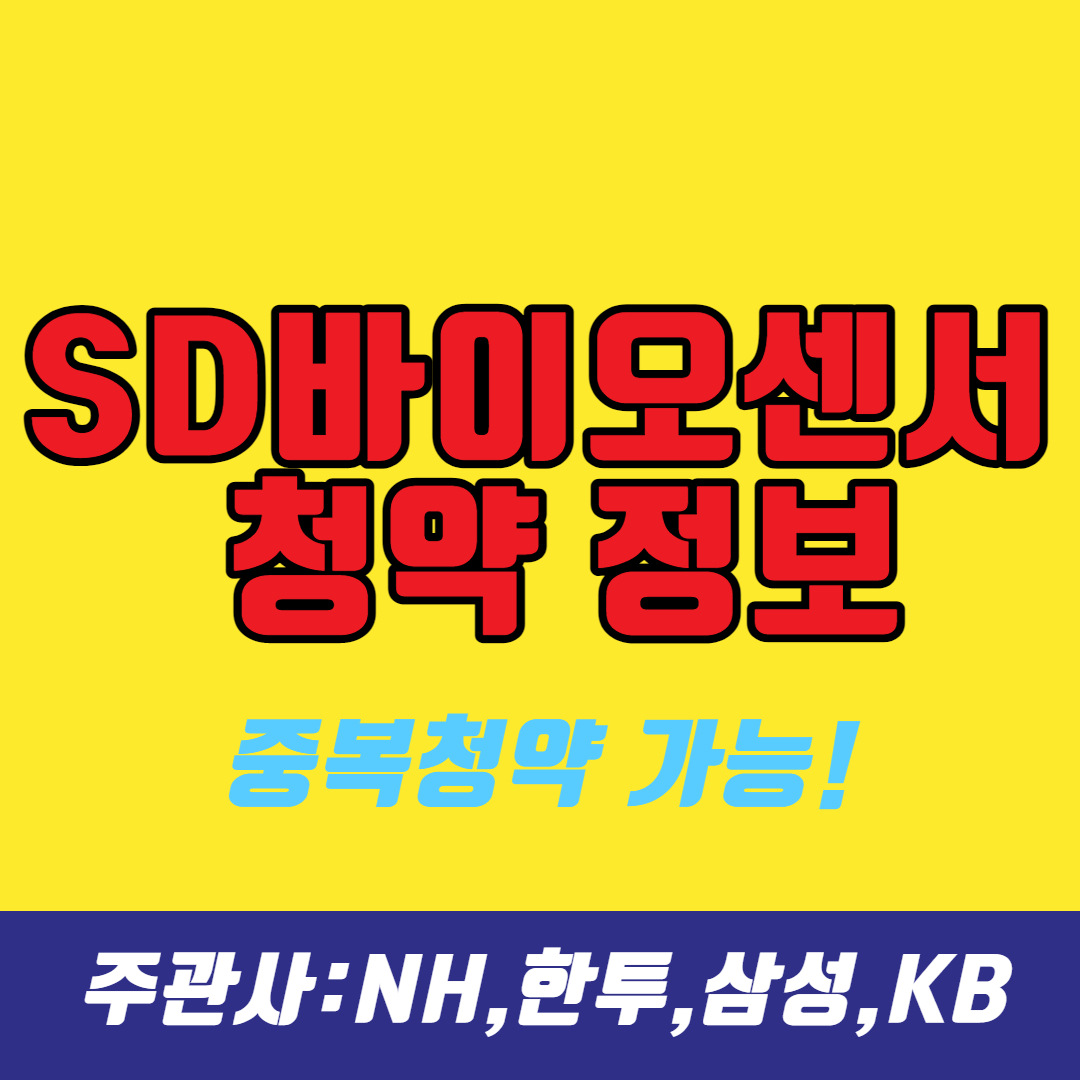 sd썸네일사진