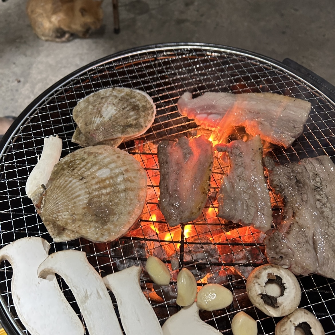 백도수산에서 산 국내산 가리비