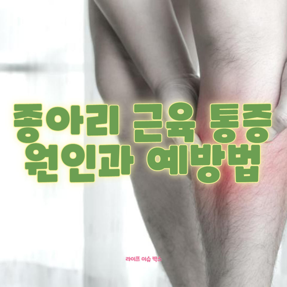 종아리를 주무르면 아픈 이유