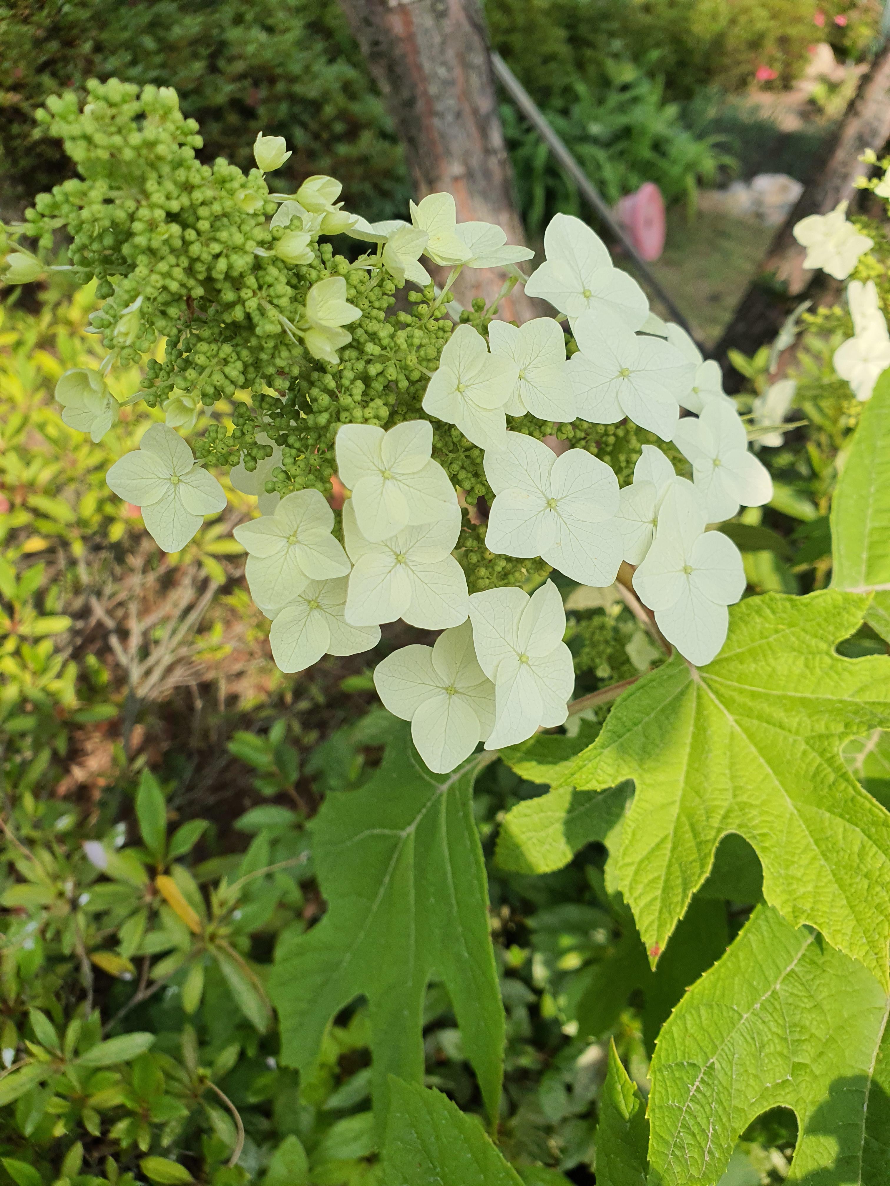  《글 산책》명절날이 되면