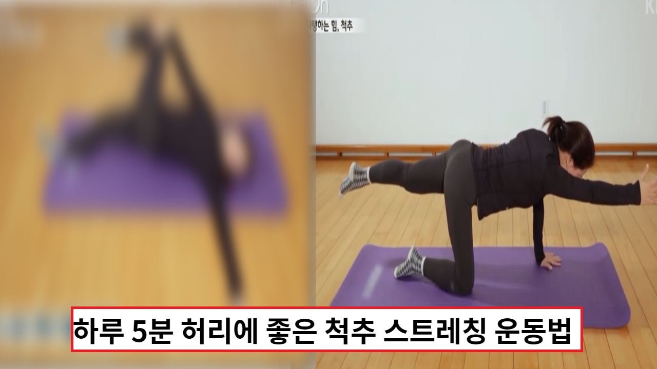  '꾸준한 관리에 답이 있다' 척추 스트레칭 운동법