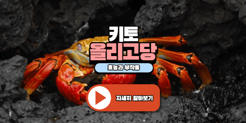  키토올리고당의 효능과 부작용에 대해 알아보기 (당뇨, 가격, 열량)