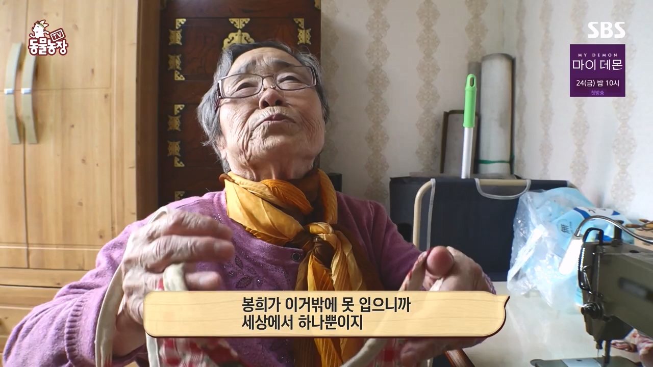 TV 동물농장.E1145.231113p-NEXT.mp4_20231112_173443.333.jpg