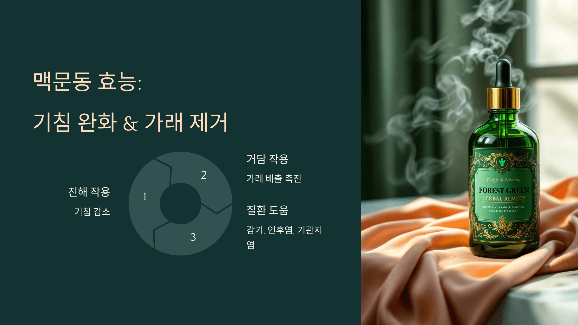 맥문동 사진입니다.