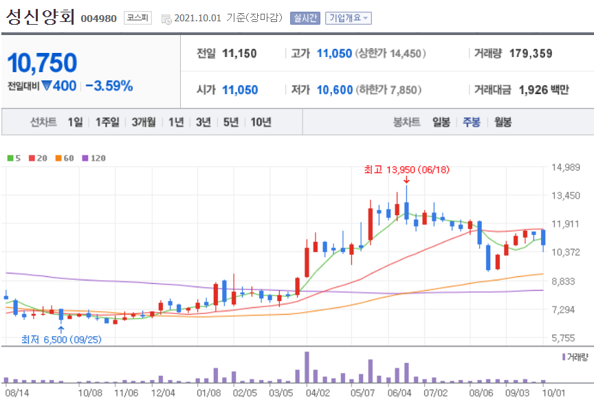 시멘트 관련주 대장주