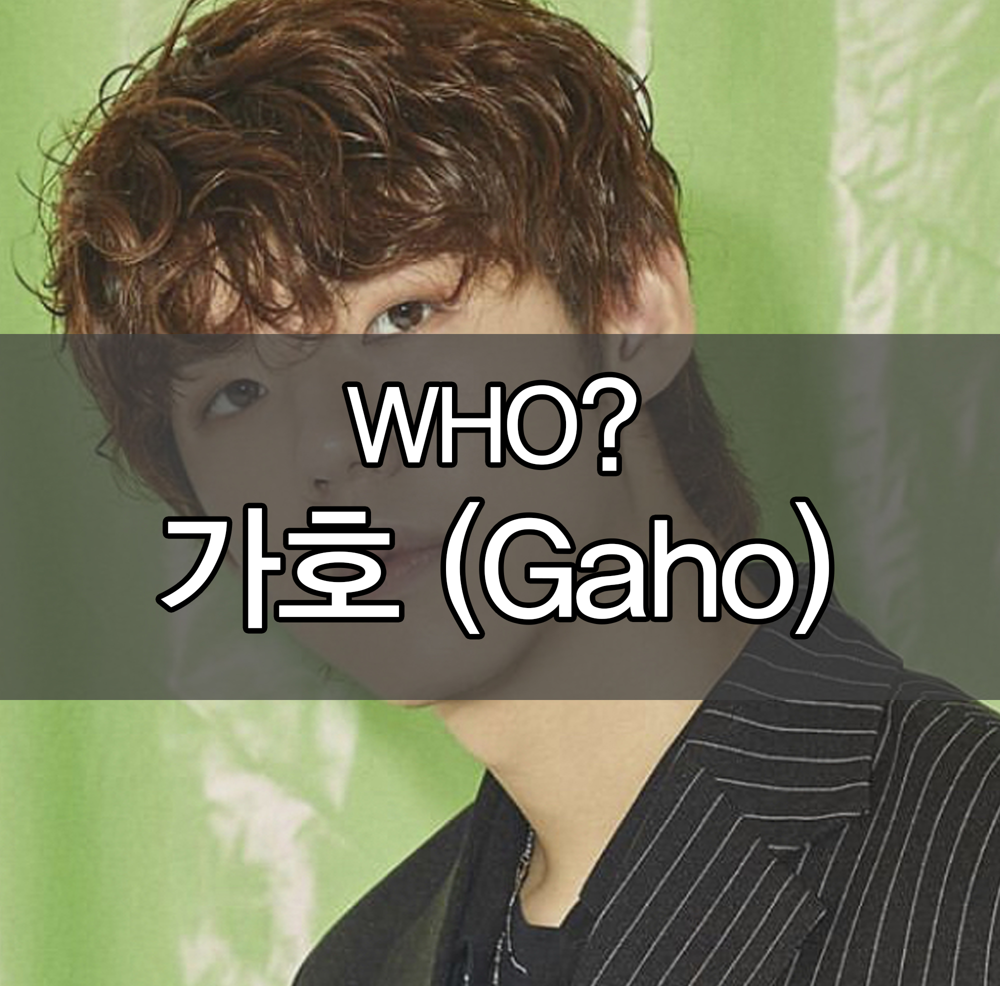  이태원 클라쓰 ost 시작 부른 가수 '가호' (Gaho)