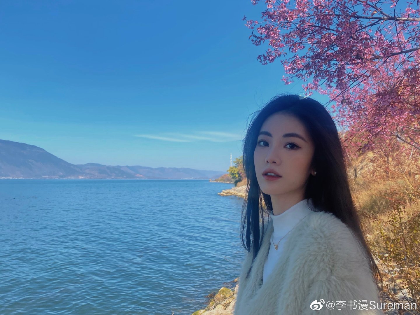 첨점적 함정 사빈빈 장묘이 11