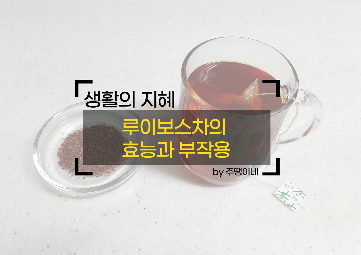  루이보스차의 효능과 부작용
