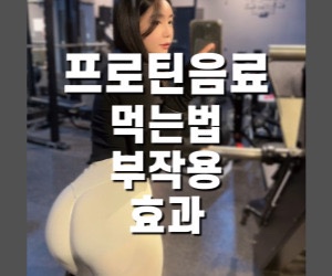  프로틴 음료 단백질 쉐이크 보충제 먹는법ㅣ부작용ㅣ효과 셀렉스 추천