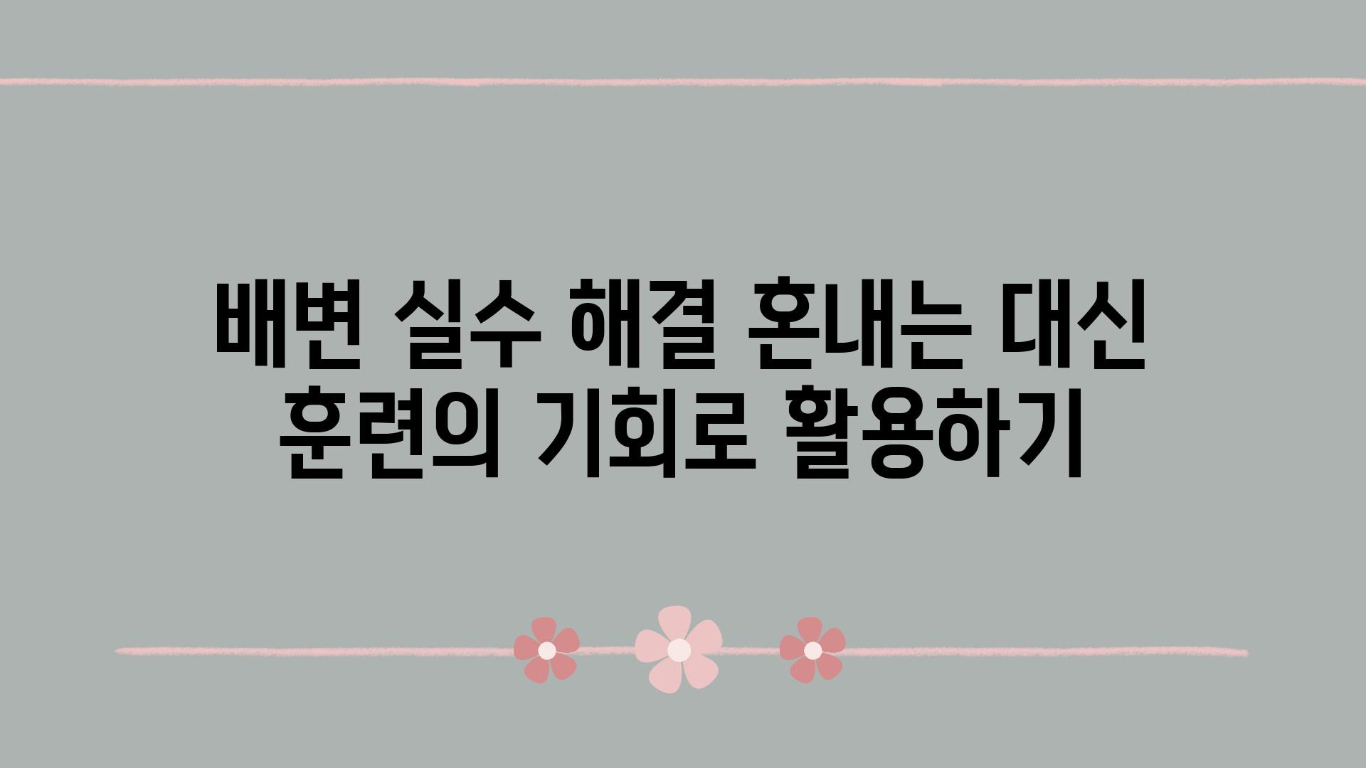 배변 실수 해결 혼내는 대신 훈련의 기회로 활용하기