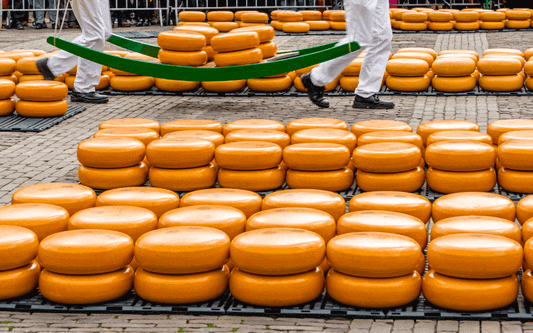 알크마르 치즈 시장