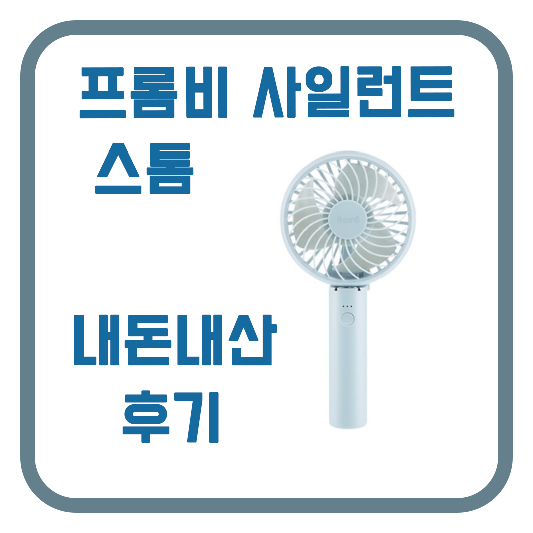  프롬비 사일런트 스톰 내돈내산 후기