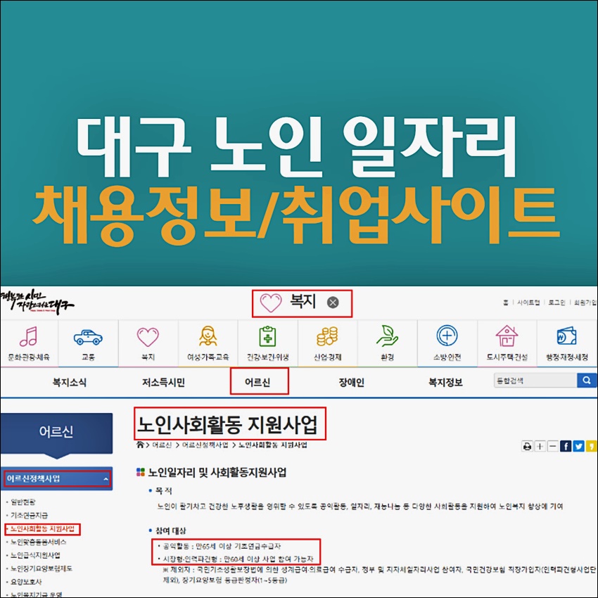 대구 노인 일자리 정보