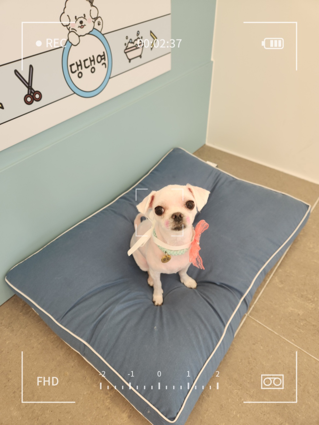 포도미용실 이미지