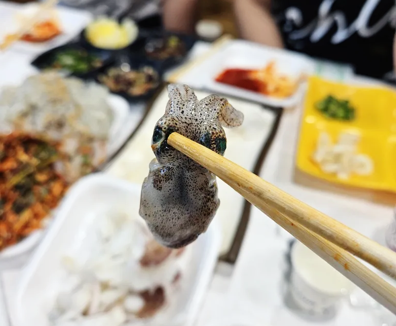 당진 장고항 실치회 수산물유통센터 봄 제철 음식 현지 맛집