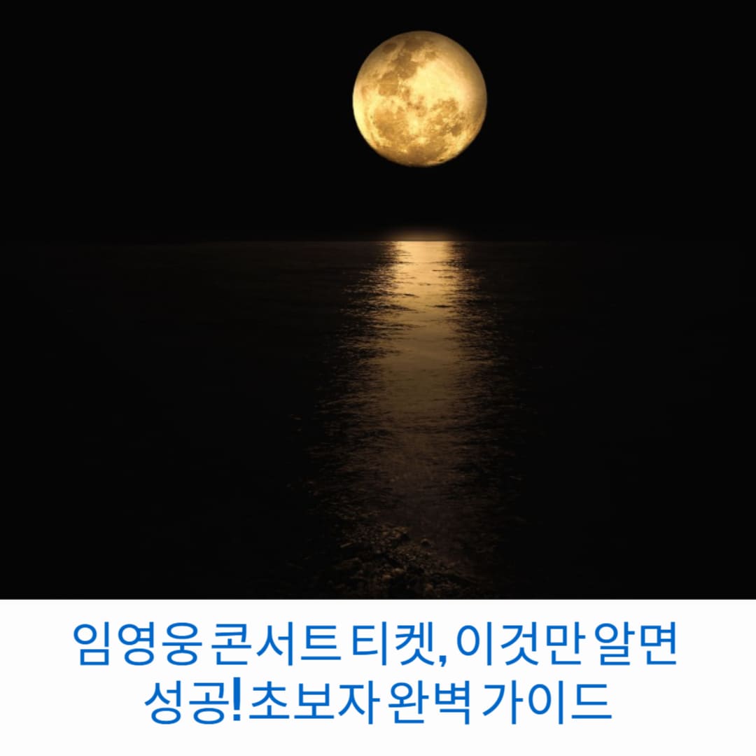 임영웅-콘서트-티켓-이것만-알면-성공-초보자-완벽-가이드-썸네일