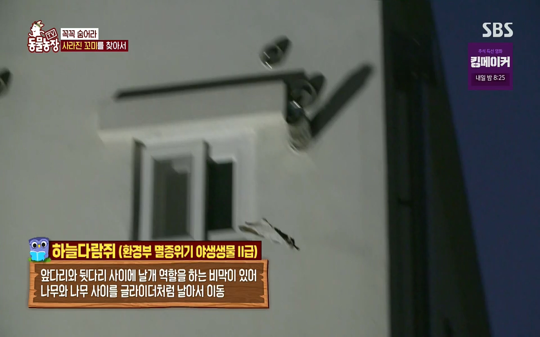 TV 동물농장.E1086.220911p.H264-F1RST.mp4_20220911_175404.137.jpg