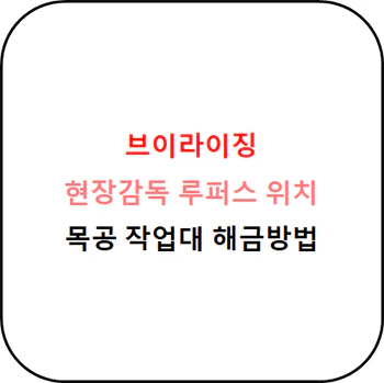 브이라이징_현장감독_루퍼스_위치_섬네일