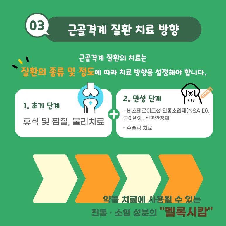 ch 강아지 통증 및 2