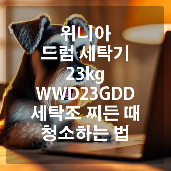 위니아 드럼 세탁기 23kg WWD23GDD 세탁조 찌든 때 청소하는 법