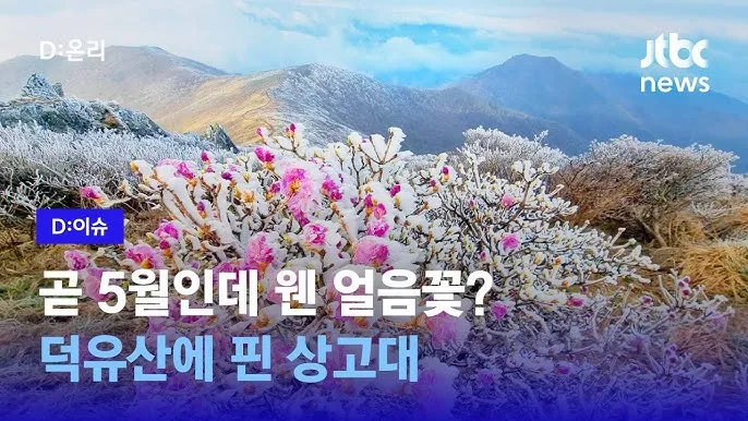 덕유산 국립공원 실시간 CCTV 모바일_6