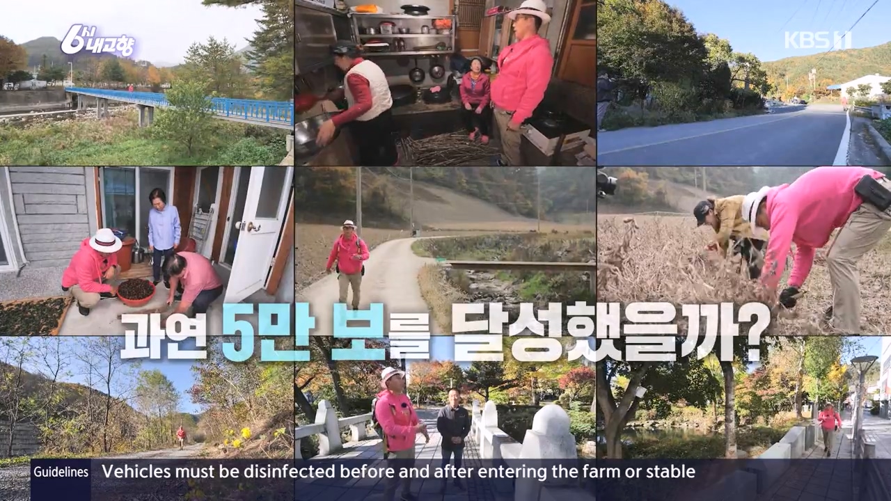 6시 내고향.E7910.231032p-NEXT.mp4_20231101_204445.735.jpg