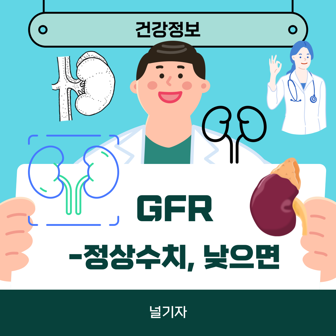 GFR 정상수치