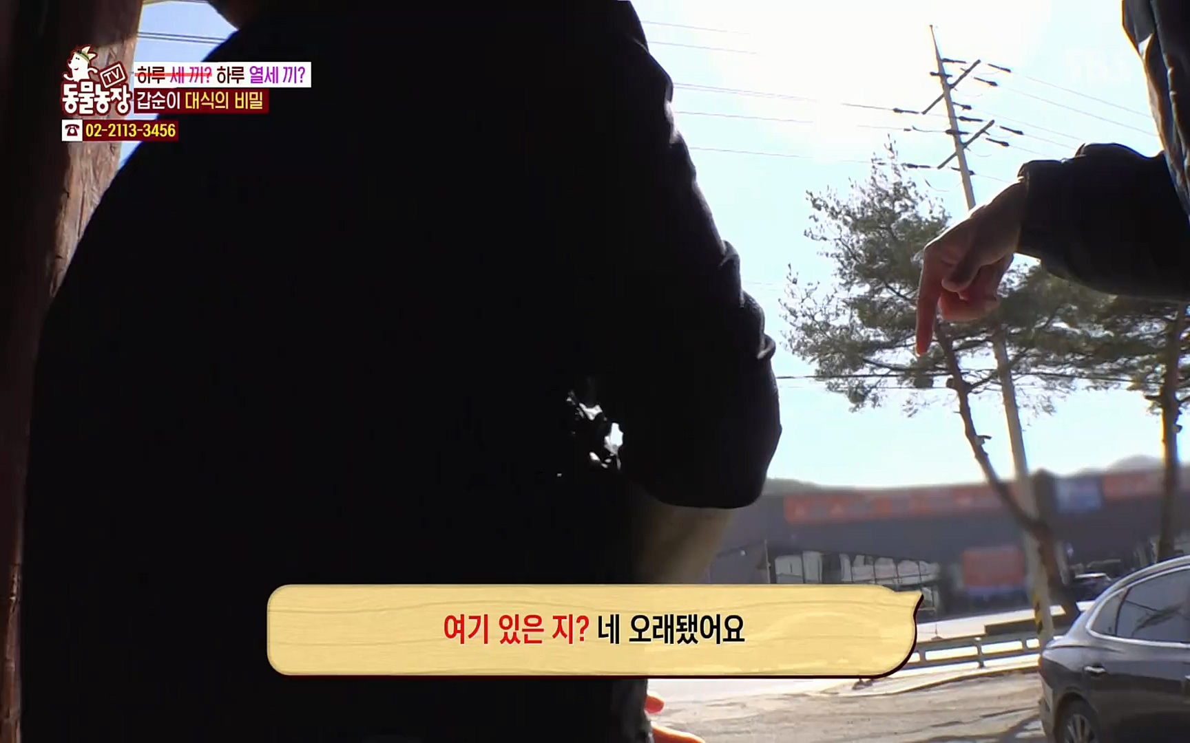 TV 동물농장.E1064.220410p.H264-F1RST.mp4_20220410_184958.461.jpg